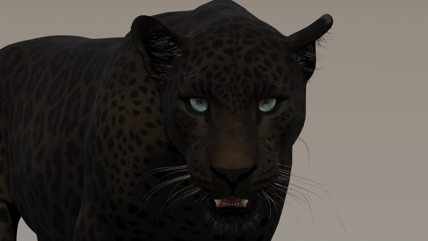 Animated Black Panther 3D Model