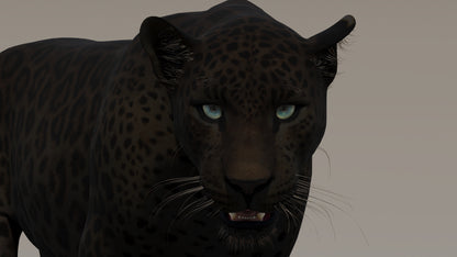 Animated Black Panther 3D Model