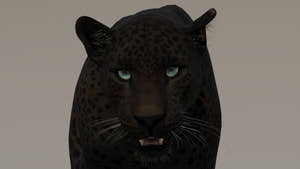Black panther with green eyes for Download Thumbnail