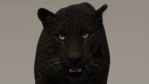 Black panther with green eyes for Download Thumbnail