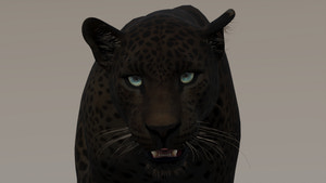 Black panther with green eyes for Download Thumbnail