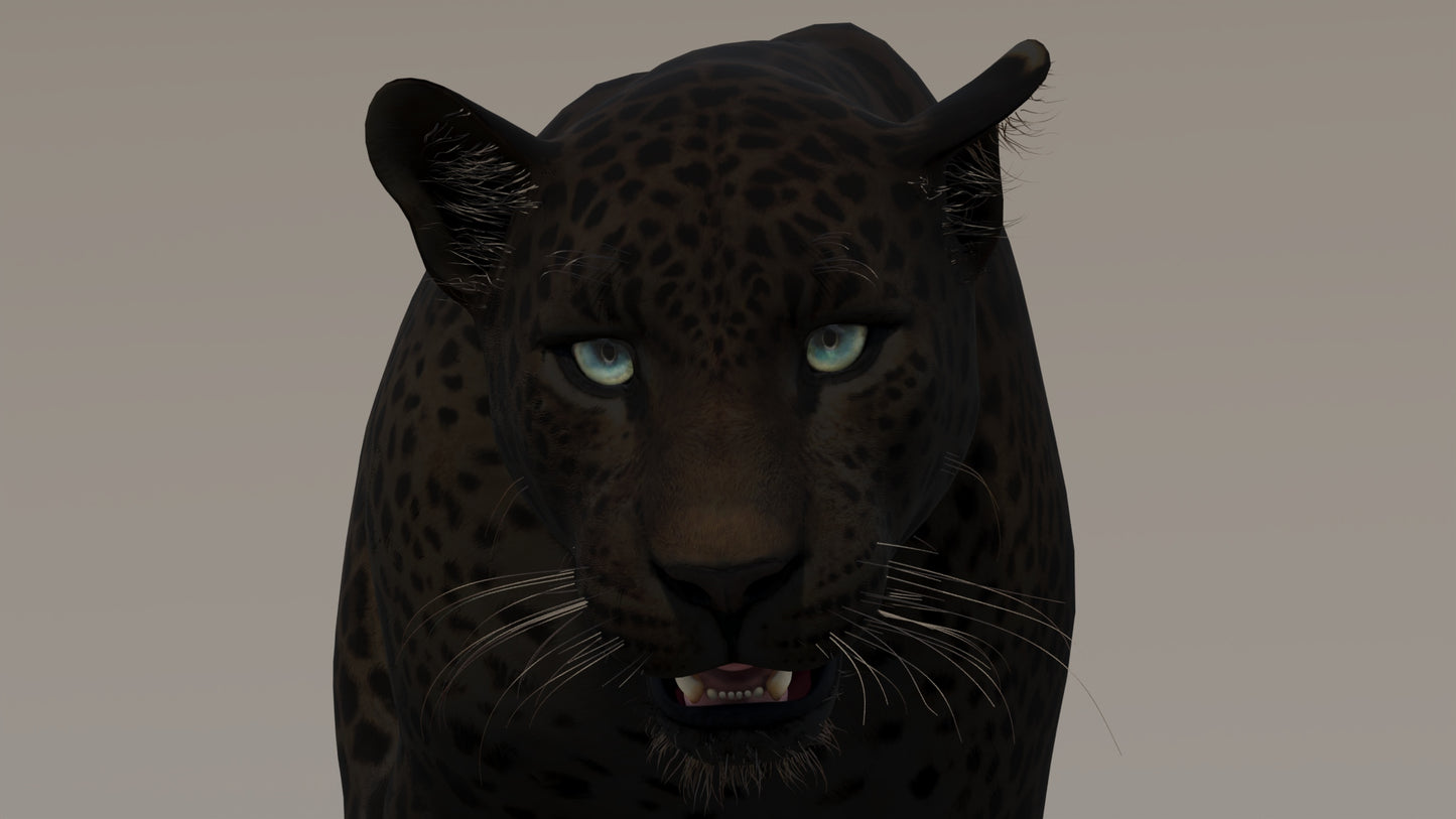 Animated Black Panther 3D Model