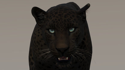 Animated Black Panther 3D Model