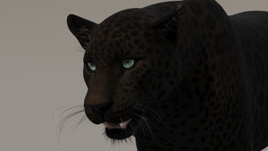 Lifelike panther 3D model for download Thumbnail