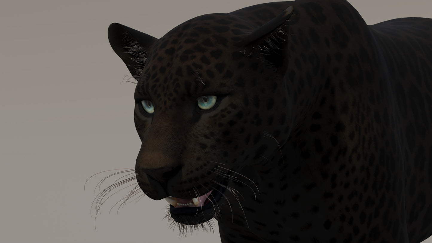 Animated Black Panther 3D Model