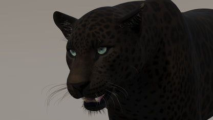 Animated Black Panther 3D Model
