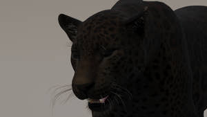 Black Panther 3D Model blinking Thumbnail