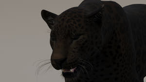 Black Panther 3D Model blinking Thumbnail