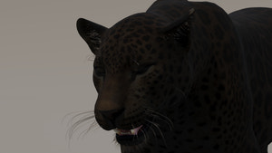 Black Panther 3D Model blinking Thumbnail