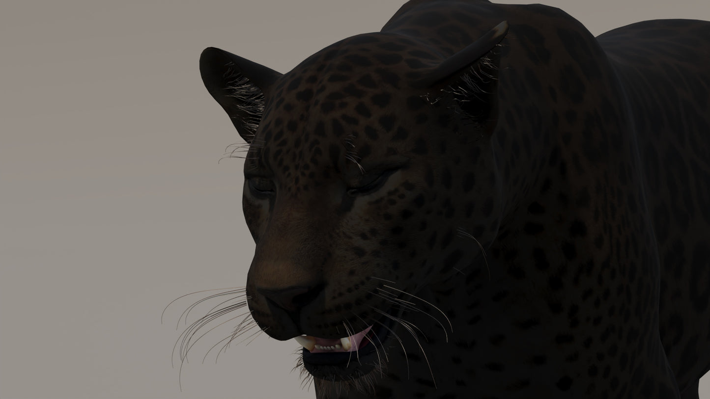 Animated Black Panther 3D Model