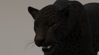 Animated Black Panther 3D Model