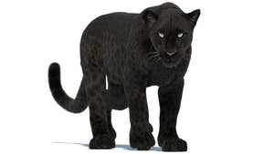 Animated Black Panther 3D Model with Fur Thumbnail