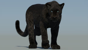 Black Panther 3D Model Animated with 3ds Max CAT Motion Thumbnail