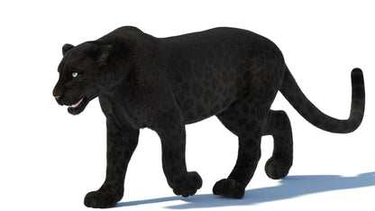 Animated Black Panther Animal 3D Model with Fur