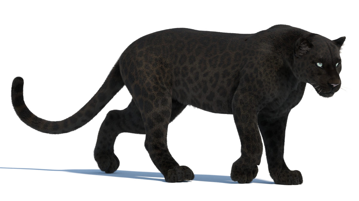 Black Panther 3D Model — Game-Ready & VFX