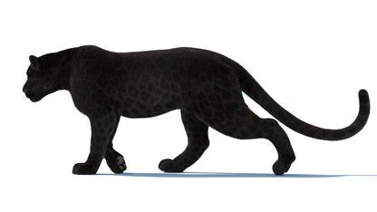 Animated Black Panther Animal 3D Model with Fur