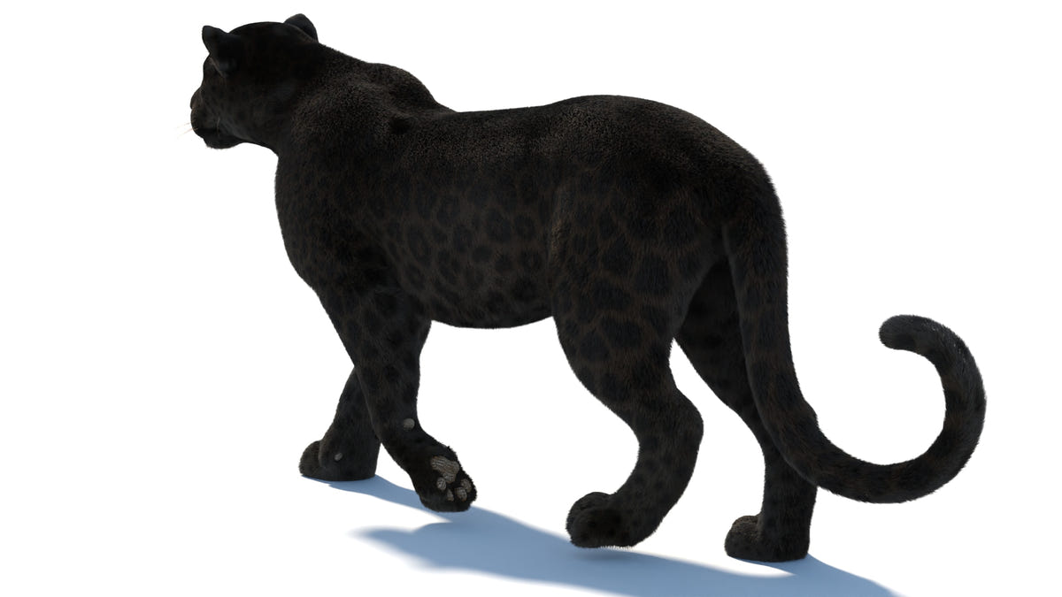 Black panther 3D render with groomed fur, ideal for VFX and games