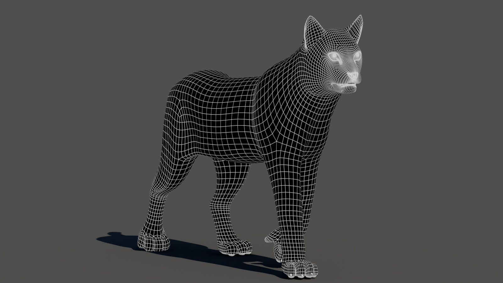 Animated Bobcat 3D Model Fur Lynx Rufus