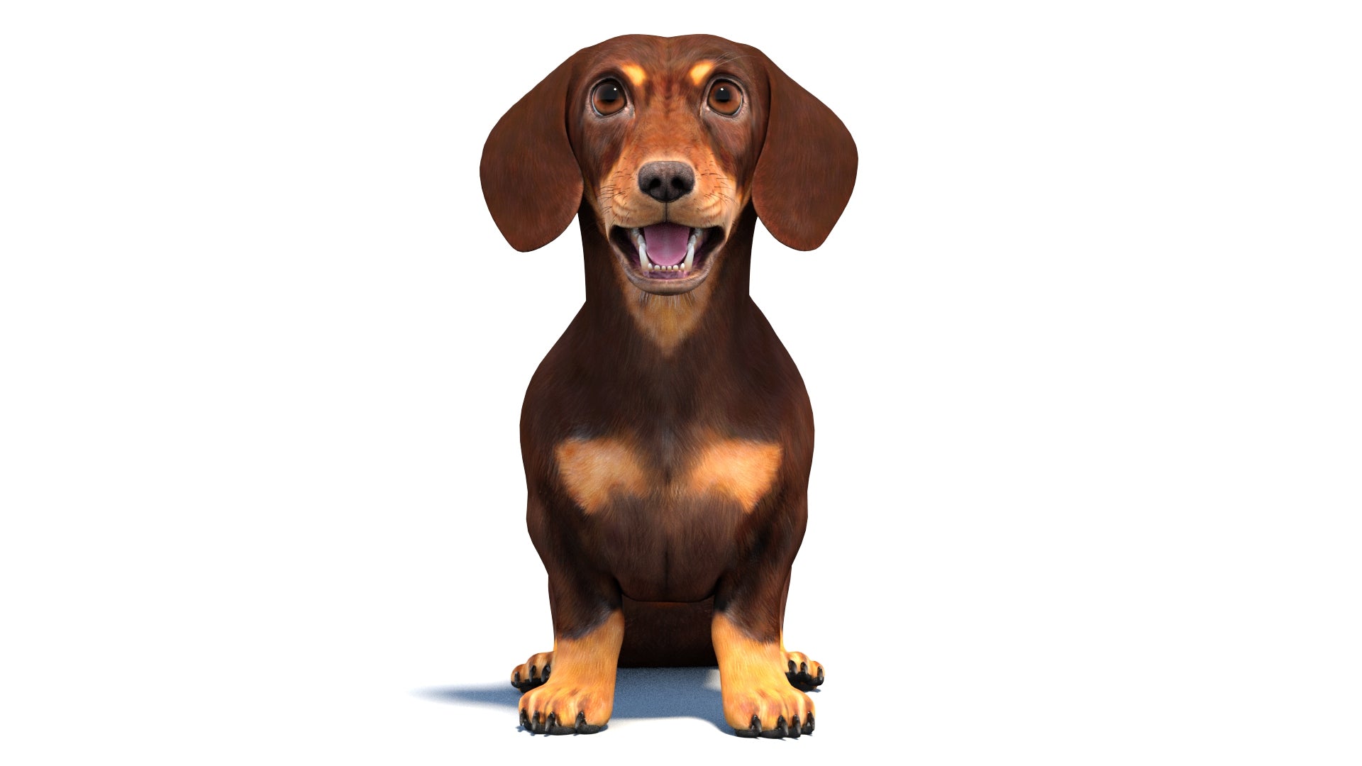 Animated Dachshund Dog 3D Model