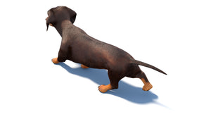 Animated Dachshund Dog 3D Model Fur Thumbnail