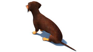 Animated Dachshund Dog 3D Model in Sitting Pose Thumbnail