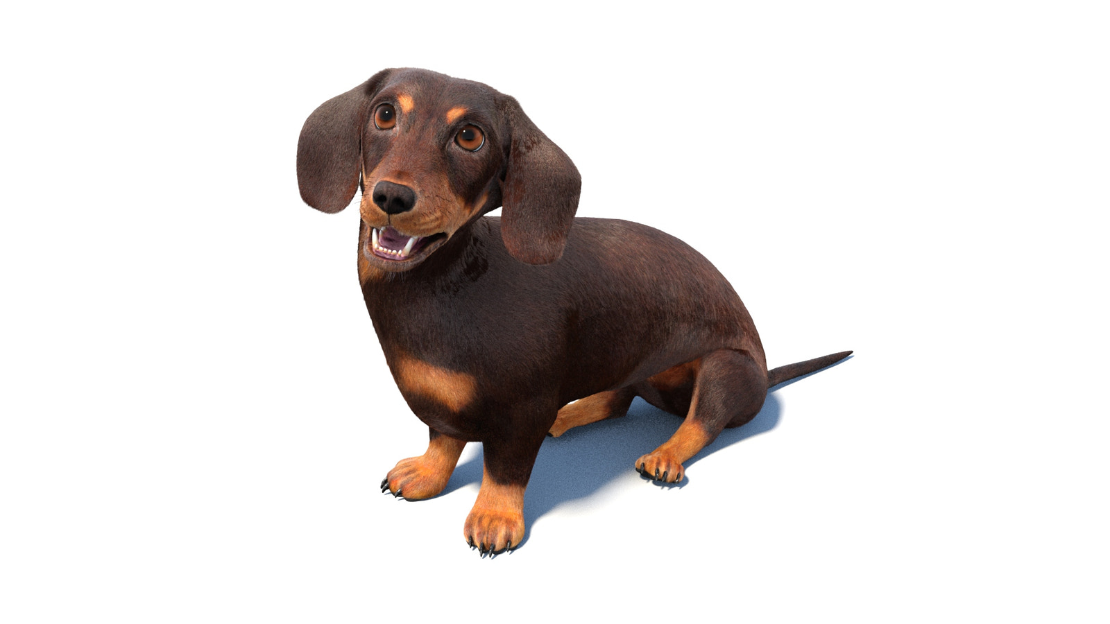 Animated Dachshund Dog 3D Model Fur