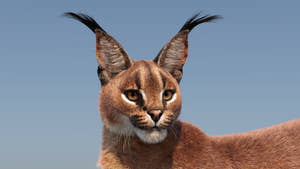 Caracal cat 3D Model with distinctive tufted ears against a clear blue sky Thumbnail