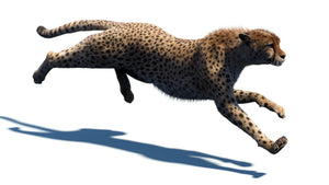 Animated cheetah 3D model with fur -running animation Thumbnail