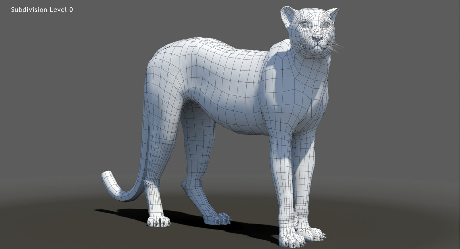 Animated Big Cat 3D Model - Lion, Tiger, Leopard, and cheetah - Hair and Fur | Bundle