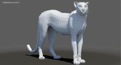 Big Cat 3D Model Rigged Animated Fur Bundle