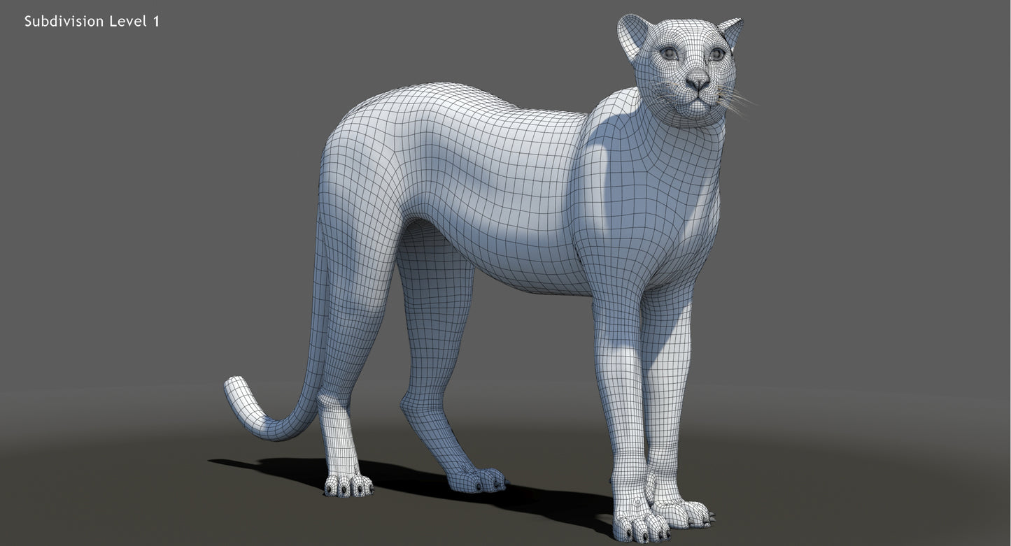 Big Cat 3D Model Rigged Animated Fur Bundle