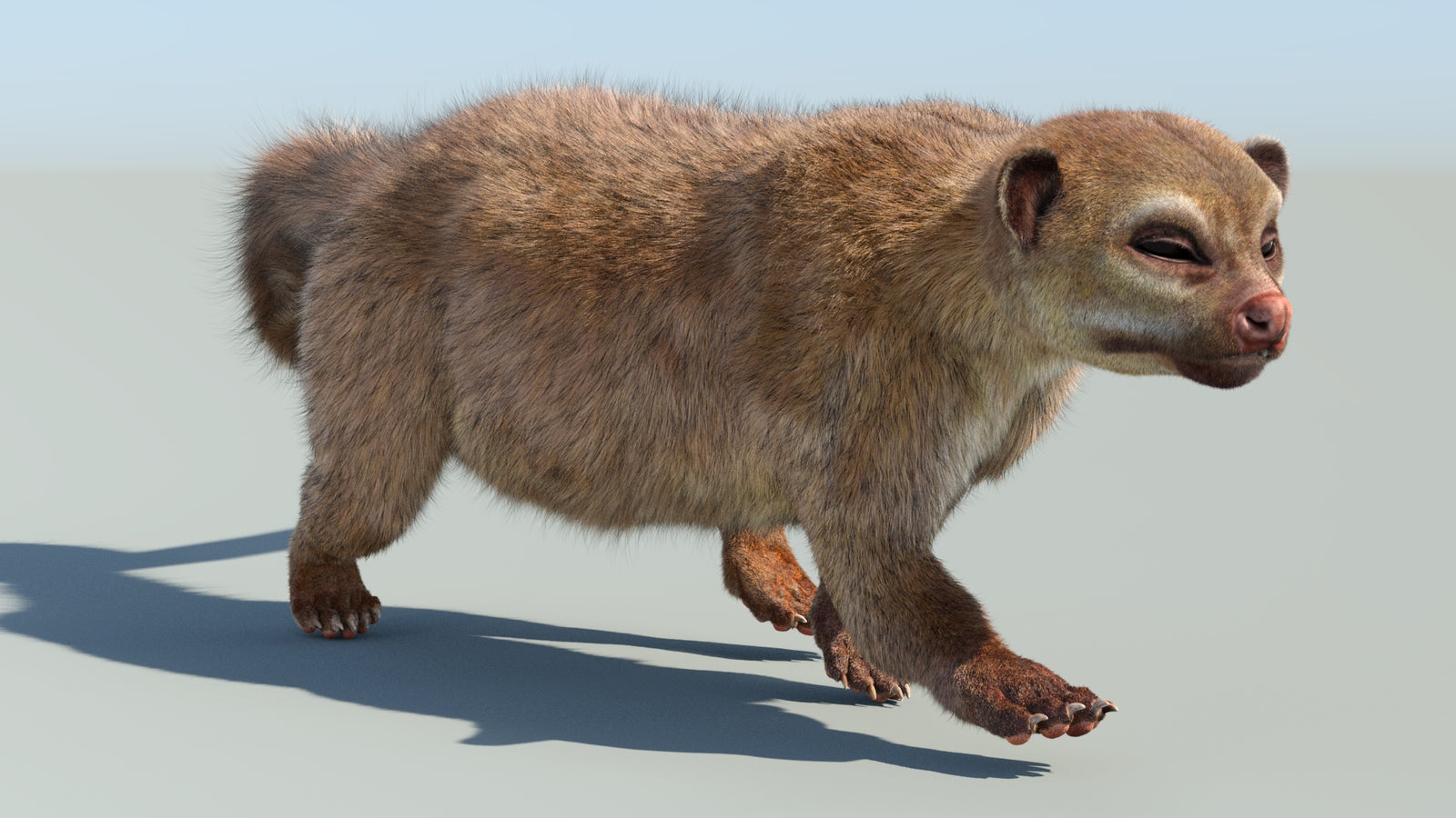 Realistic Kinkajou 3D Model Animated Fur 360° view 6 frame 14