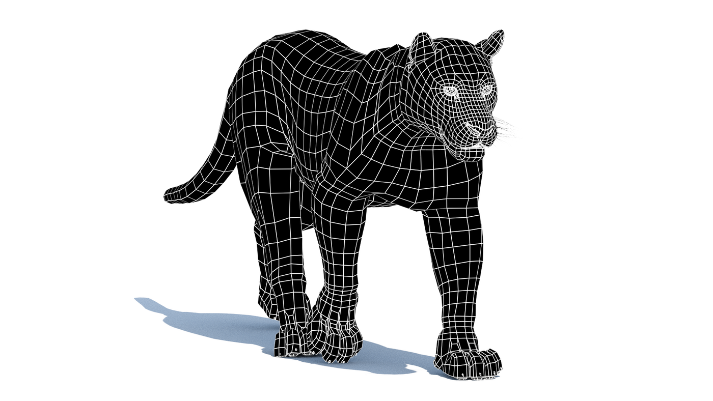 Leopard 3D Model Animated - 360 Degree View