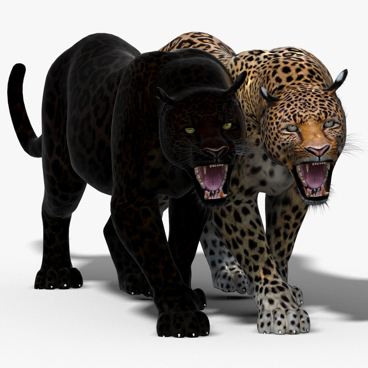 Animated Leopard and Panther 3D Model