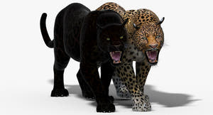 Animated Leopard and Panther 3D Model Thumbnail