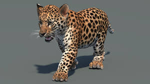 Animated leopard cub 3D model for download in natural-colored environment Thumbnail