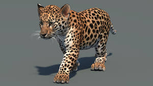 Perspective view of walking leopard cub 3D model in signature pose with textured fur and mouth closed in a natural-colored environment Thumbnail