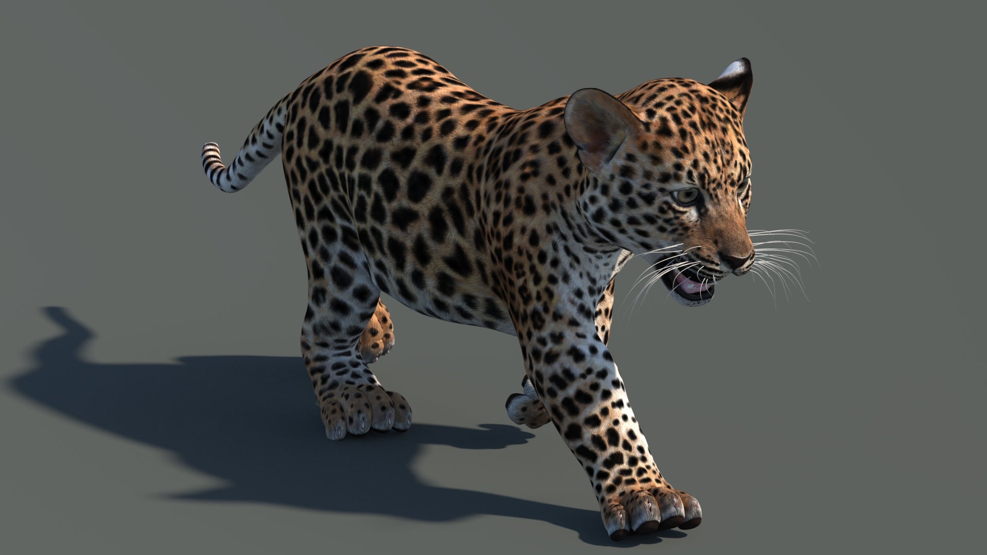 Side view of walking leopard cub 3D model with textured fur and open mouth in a natural-colored environment