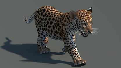 Side view of walking leopard cub 3D model with textured fur and open mouth in a natural-colored environment