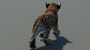Rear view of walking leopard cub 3D model with textured fur in a natural-colored environment Thumbnail