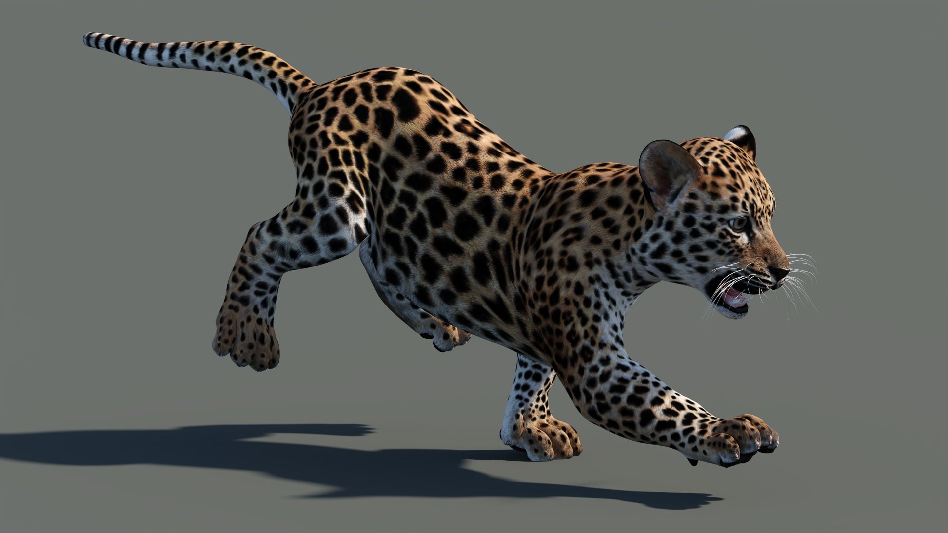 Leopard cub 3D model in a different running pose with textured fur in a natural-colored environment