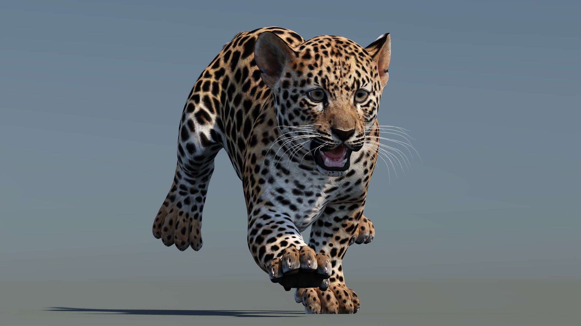 Front view of running leopard cub 3D model with textured fur in a natural-colored environment