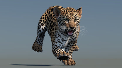 Front view of running leopard cub 3D model with textured fur in a natural-colored environment