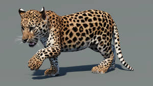 Leopard cub 3D model in a standing pose with one paw lifted, as if preparing to walk, with textured fur in a natural-colored environment Thumbnail