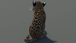 Rear-side view of seated leopard cub 3D model with textured fur in a natural-colored environment Thumbnail