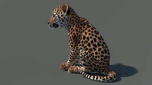 Side view of seated leopard cub 3D model with textured fur in a natural-colored environment Thumbnail