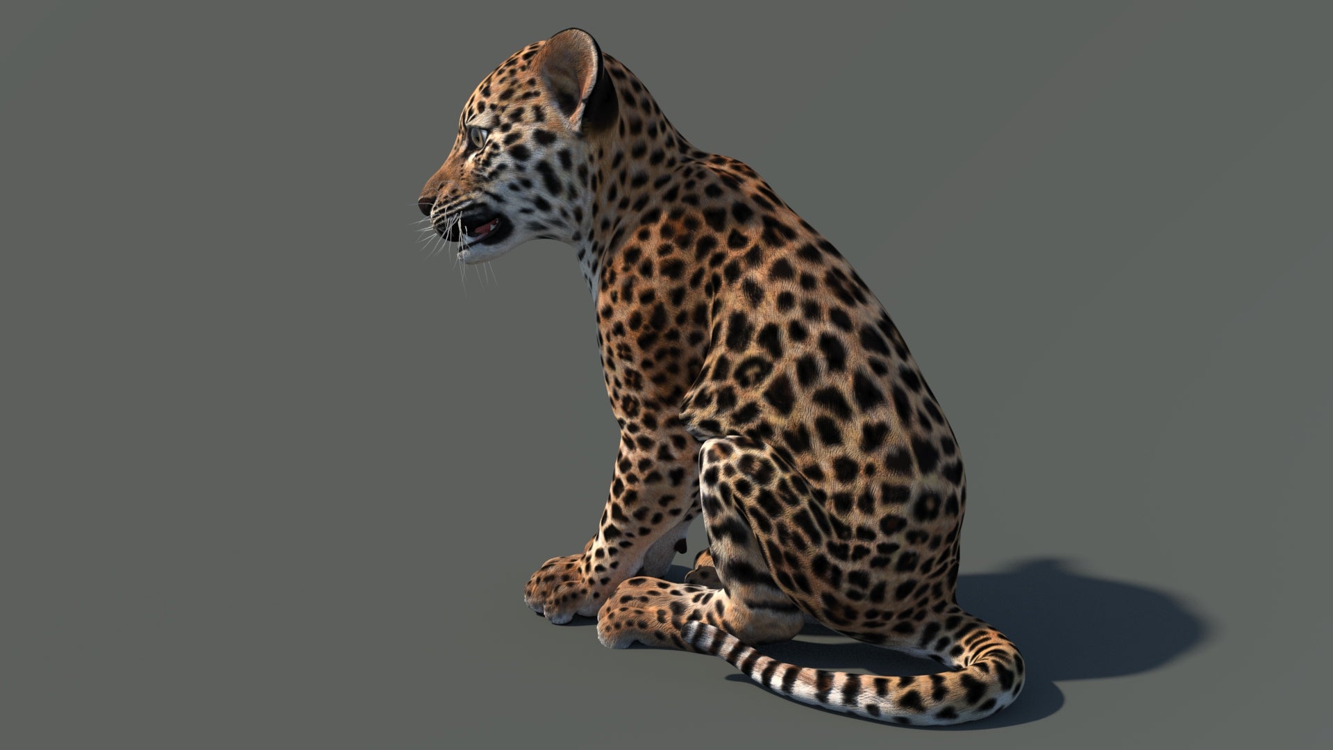 Side view of seated leopard cub 3D model with textured fur in a natural-colored environment