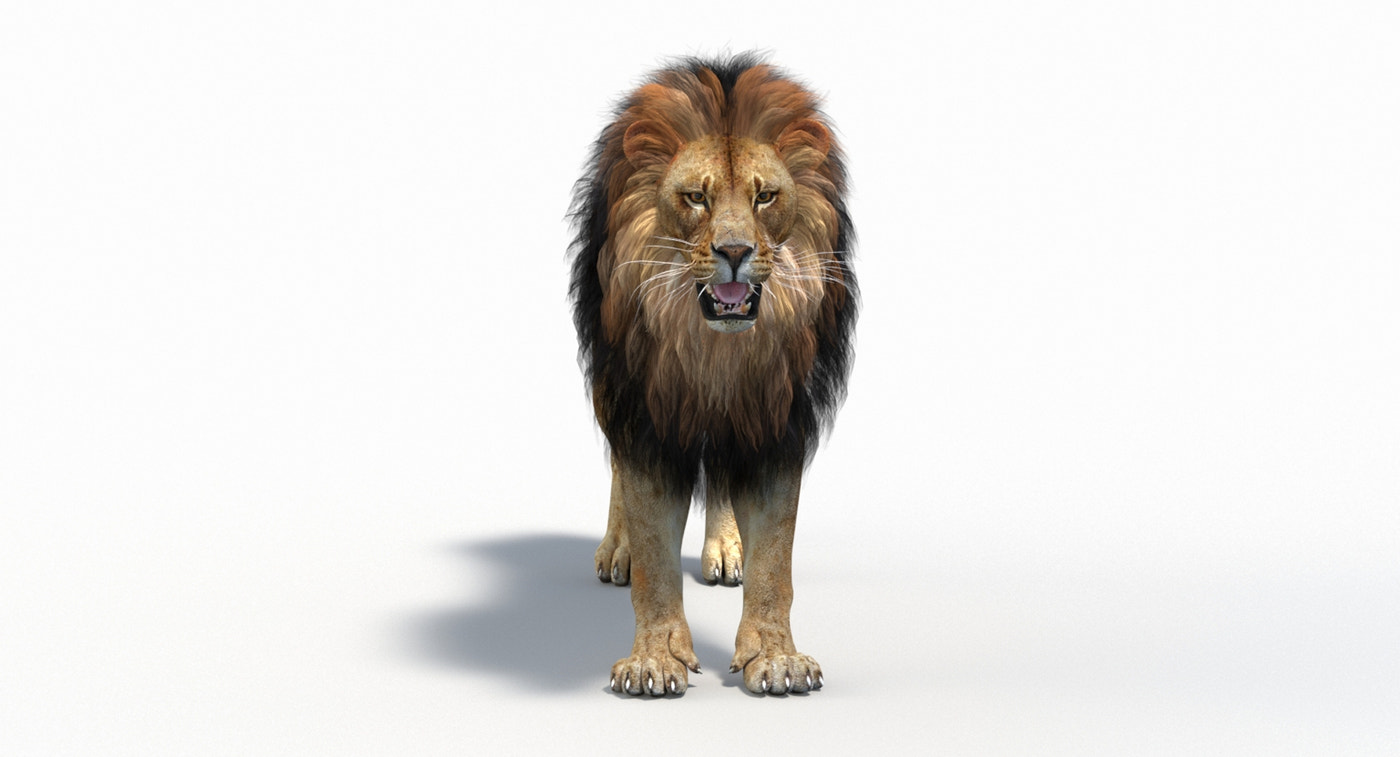 Animated Lion 3D Model (Game-Ready) - 360 Degree View