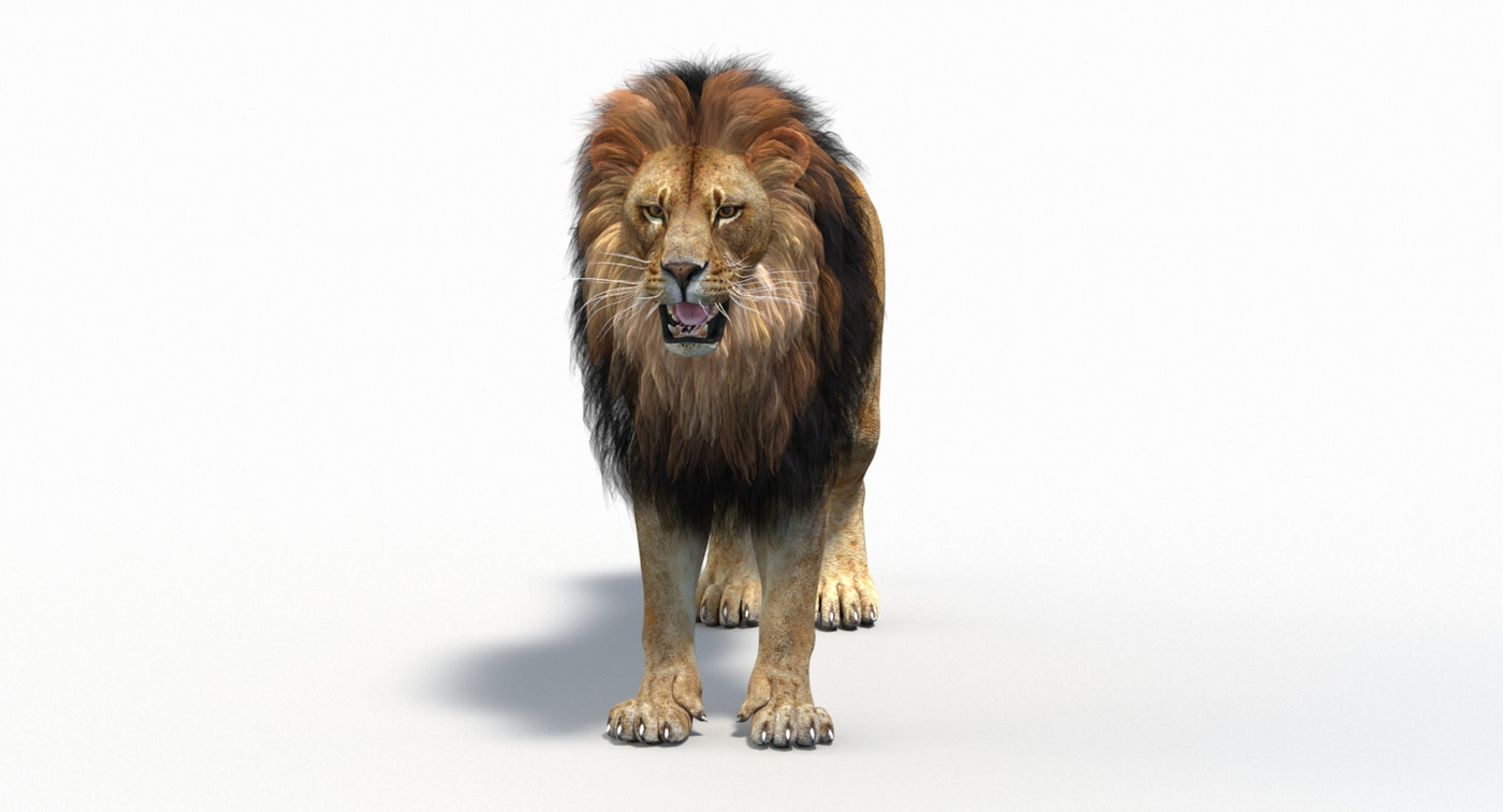 Animated Lion 3D Model (Game-Ready) - 360 Degree View