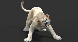 Animated Lioness Fur 3D Model Two Colors Thumbnail